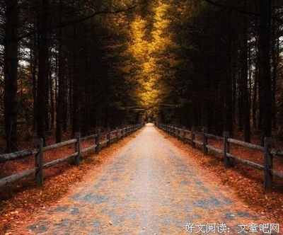 人活一辈子，真的好难……