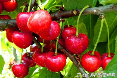 B老师 | 网红牛奶套路多,你被营销了吗?