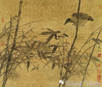 晓松的语句摘抄_关于晓松的语句