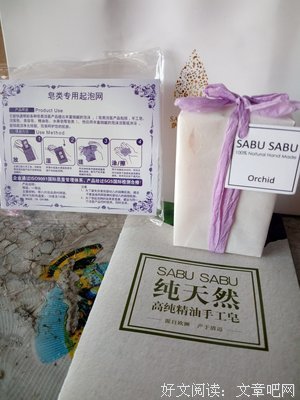萨布的语句摘抄_关于萨布的语句