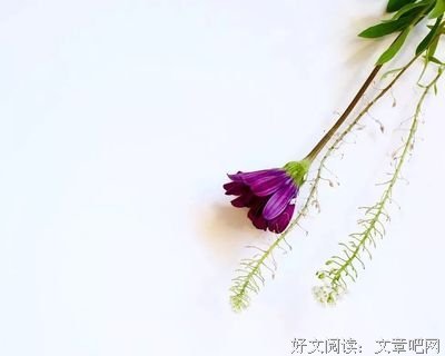 九旬清华著名教授夫人断食结束生命，她的生命感悟值得所有人看看