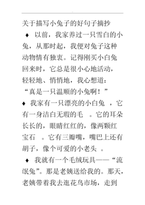 《当年》好段摘抄