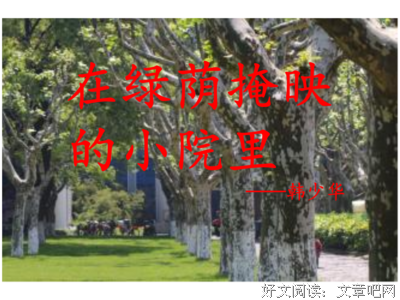 晨昏优美的句子
