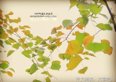关于雪飞落叶的句子