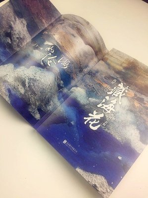 藏海花优美的句子