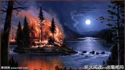《月光森林》读后感精选10篇