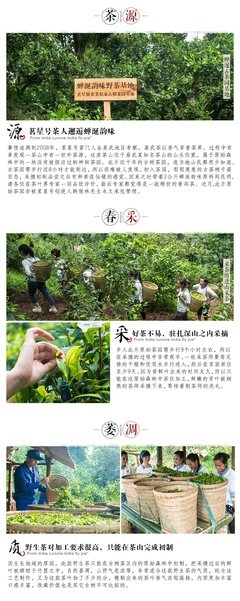 朵嘉浓蝉禅：焦虑浮躁的视频电商