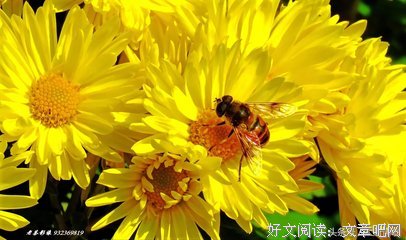 凡尘俗中要经典名句
