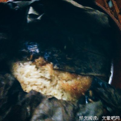 贞子酱名句欣赏