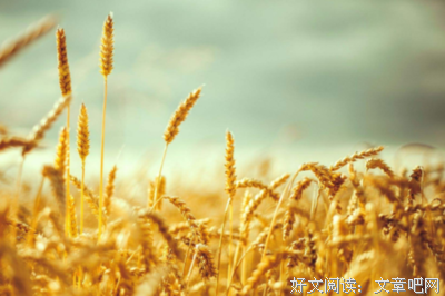 共鸣经典名句