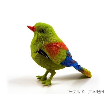 《你的鸟儿会唱歌》观后感10篇
