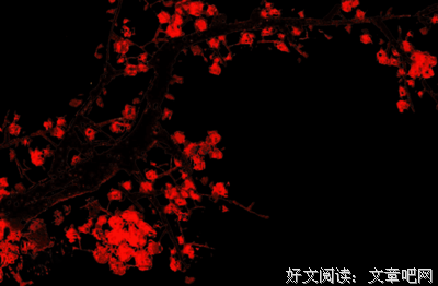 愿你喜欢被岁月修改的自己经典读后感10篇