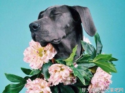 《无水之桥》的影评10篇