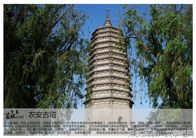 关于分金名言名句