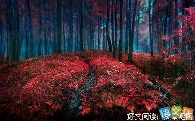 关于平常的名言