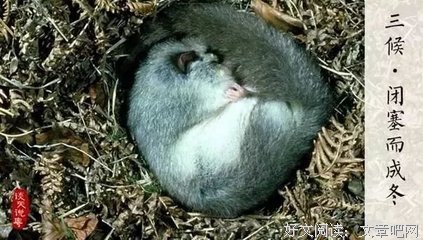 明日小雪！不懂规矩要吃亏，为了家人赶紧看看！