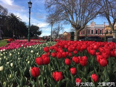 人性故事：“离婚可以，把我的肾还给我。”
