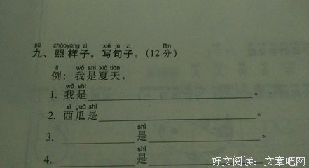 关于辨析的句子