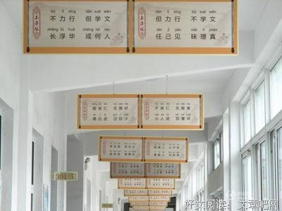情金一看经典的句子