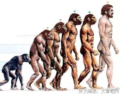 冯学荣：放下偏见，才能参悟历史的真相
