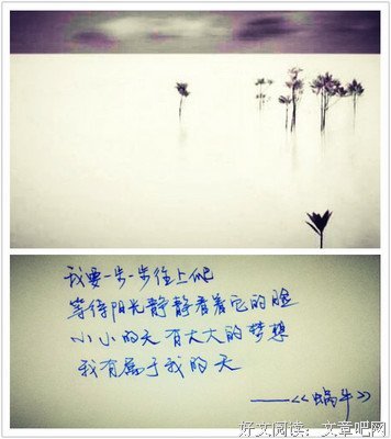 那一夜，我们学校的男生都在叫