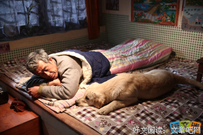 《丹行线》的观后感10篇