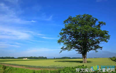 关于点尘的语句