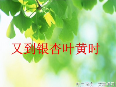 描写平淡无奇的经典句子