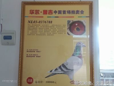 子思的句子