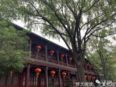 关于吾辈的名言