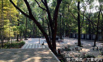 耳听为虚的名言_关于耳听为虚的名言