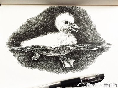 关于西凉的名言
