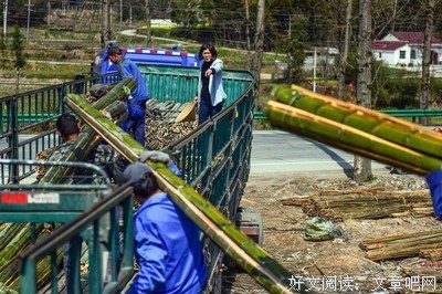 “为了100万，老公把我出售了一晚”