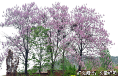 想来夜句子大全