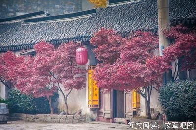 讨厌一个人，用不着翻脸！