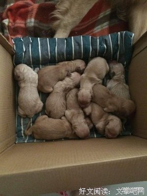 六花的名句_关于六花的名句