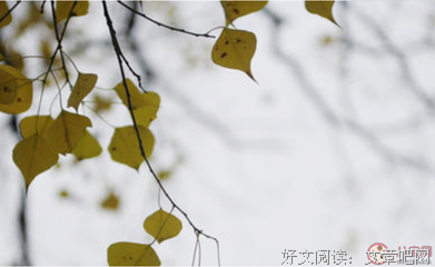 关于尼玛的语句