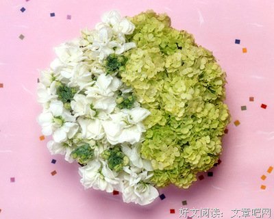 小清新格言警句