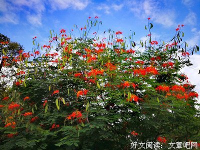 关于灵雨的名言