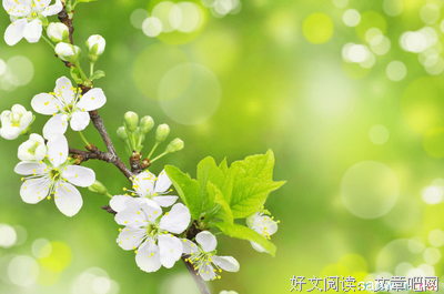 《美》的句子
