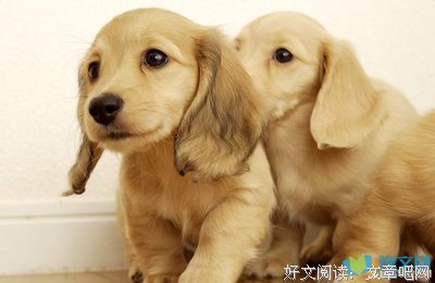 关于思念的句子