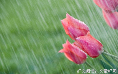 忽如往他的家外客经典的句子