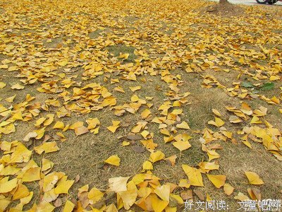 来，一人说一个单身的好处