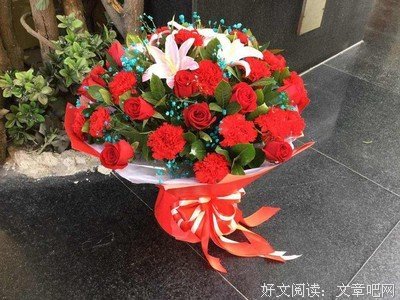 陈庆利：母亲一辈子的“谎言”