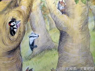 坏脾气的婆婆 