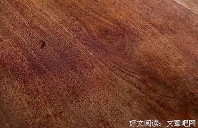 15条关于格木的经典语句