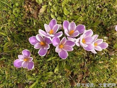 关于坚持不懈的唯美语录