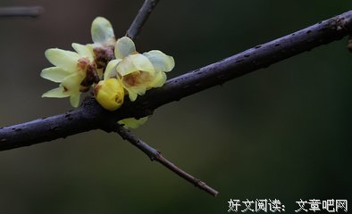 乾坤万格言警句