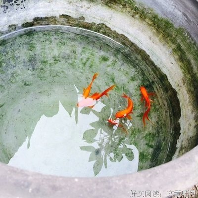随意的句子