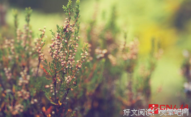 人生与梦句子大全